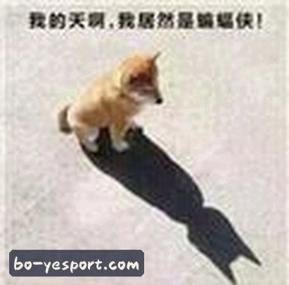 张磊